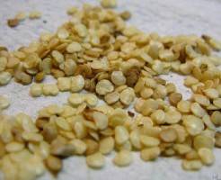 Как сажать семена баклажанов