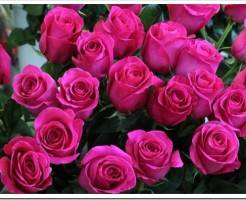 Популярные сорта роз