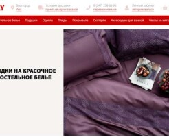 Обзор сервиса интернет-магазина tolly.ru