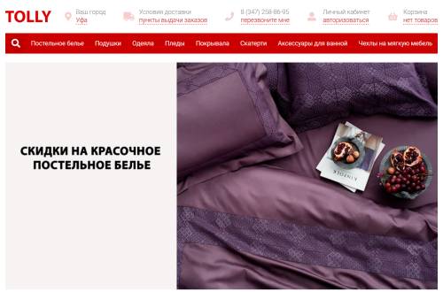 Обзор сервиса интернет-магазина tolly.ru 