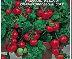 Популярные сорта томатов для выращивания на подоконнике дома