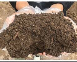 Что такое почвогрунт для рассады и как его применять?