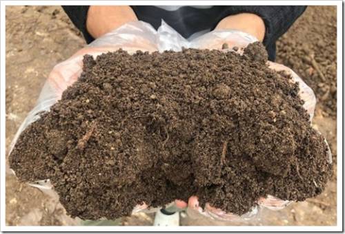 Что такое почвогрунт и чем он отличается от обычной земли в огороде?