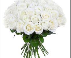 Как собрать красивый букет из белых роз