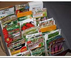 Как правильно выбрать семена овощей для дачи и как их хранить