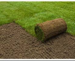 10 советов, как укладывать рулонный газон