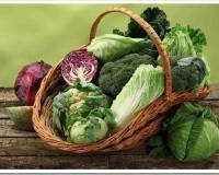 Капуста: виды и сорта
