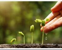 Агротенс супер удобрение