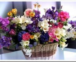 Букет из каких цветов можно подарить девушке на день рождения