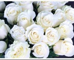 Как красиво оформить букет из белых роз