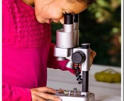 Как выбрать микроскоп для школьника 8-12 лет?
