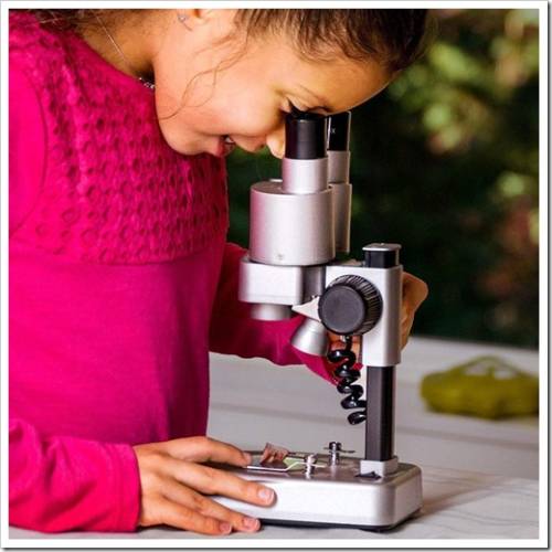 Каким должен быть первый микроскоп? 