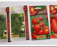 Как выбрать семена огурцов и томатов в магазине