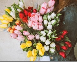 Какой букет цветов подарить девушке на 8 марта