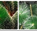 Какие есть виды искусственных елок