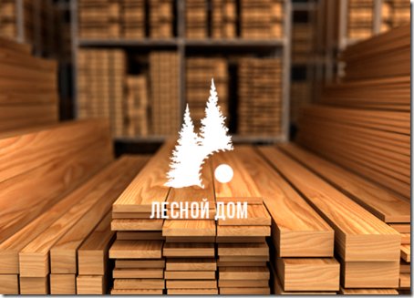 Эксперты компании Лесной Дом за работой