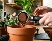 Кофейный жмых из кофемашины Gaggia как удобрение: уход за контейнером и ремонт