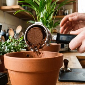 Кофейный жмых из кофемашины Gaggia как удобрение: уход за контейнером и ремонт