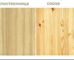 Пиломатериалы из лиственницы: чем они отличаются от сосны и ели