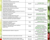 Какие удобрения вносят при посадке помидоров: виды и нормы