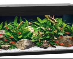 Как правильно выбрать аквариум: формы, стекло, герметичность и безопасность