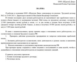 Имеет ли смысл подавать жалобу в трудовую инспекцию перед обращением в суд: подробный разбор
