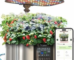 Опыт использования домашней гидропонной системы LetPot: свежая зелень на кухне круглый год