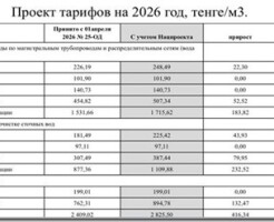 Деньги под контролем: как казахстанской семье пережить рост цен в 2026 году